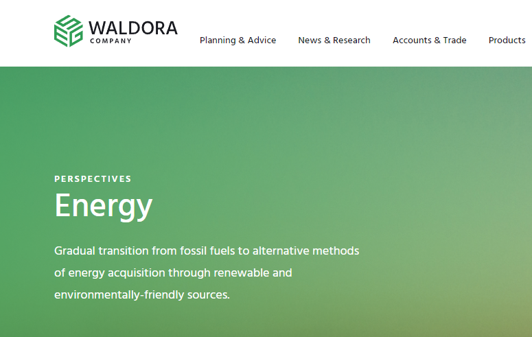 Waldora Company (Валдора Компани) https://waldoracompany.com