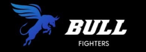 Bull Fighters (Булл Файтерс) https://bullfighters.uk