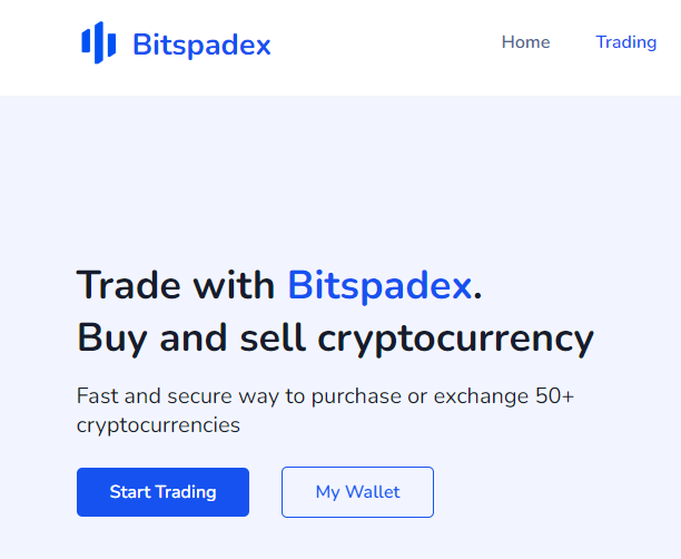 Отзывы о компании "BItspadex"