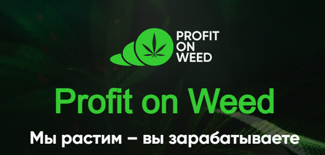 Profit on weed (profitonweed.com) отзывы